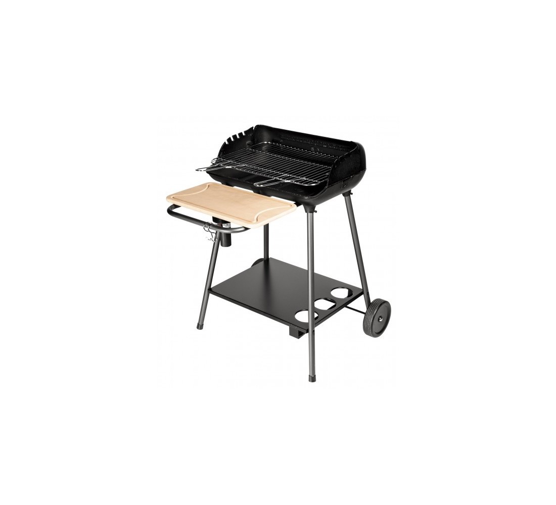 barbecue charbon gamme vert
