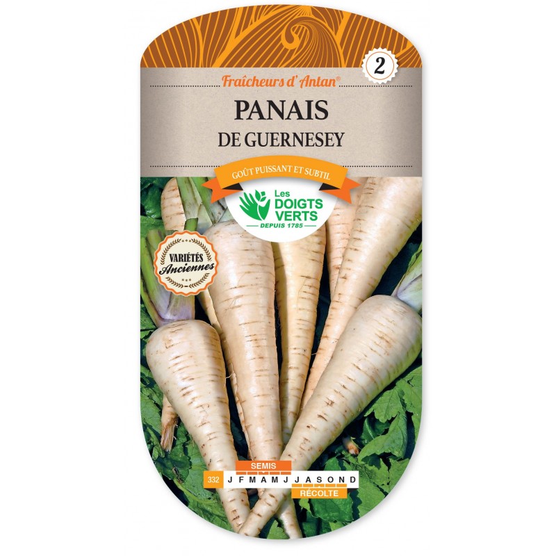 nos légumes par région Panais-demi-long-de-guernesey-antan-cat2